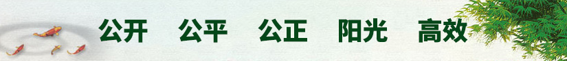 公開 公平 公正 陽光 高效
